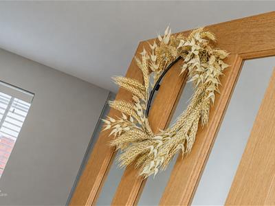 Picture 23